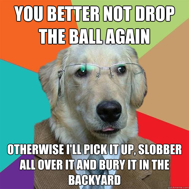 you better not drop the ball again otherwise ill pick it up - Business Dog