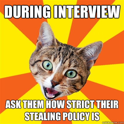 during interview ask them how strict their stealing policy i - Bad Advice Cat