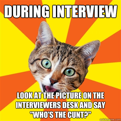 during interview look at the picture on the interviewers des - Bad Advice Cat