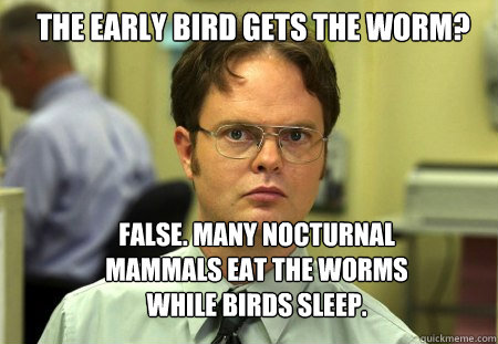 the early bird gets the worm false many nocturnal mammals - Schrute