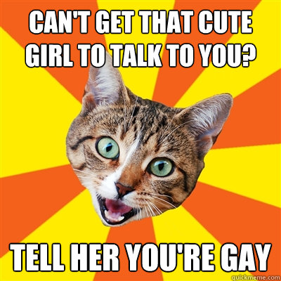 cant get that cute girl to talk to you tell her youre gay - Bad Advice Cat