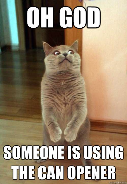 oh god someone is using the can opener - Horrorcat