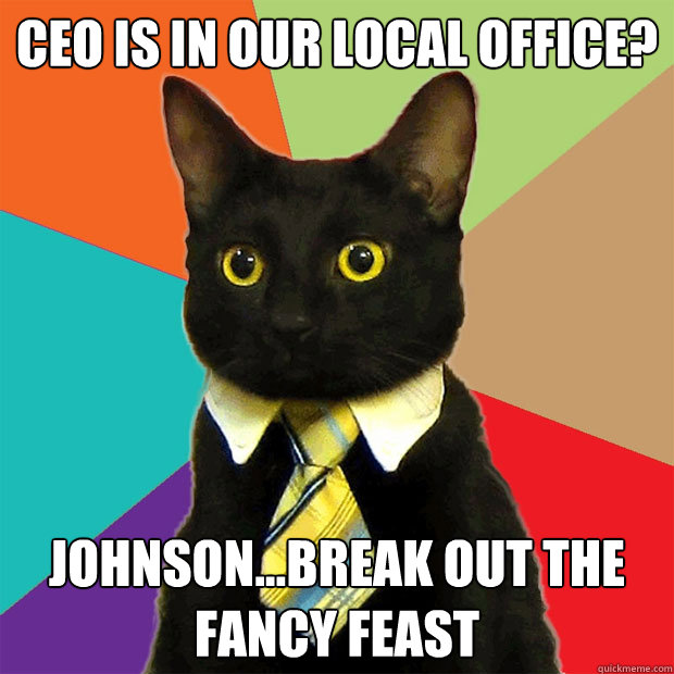 ceo is in our local office johnsonbreak out the fancy fe - Business Cat
