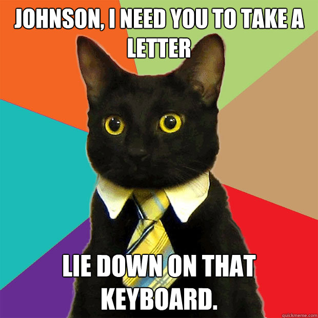 johnson i need you to take a letter lie down on that keyboa - Business Cat