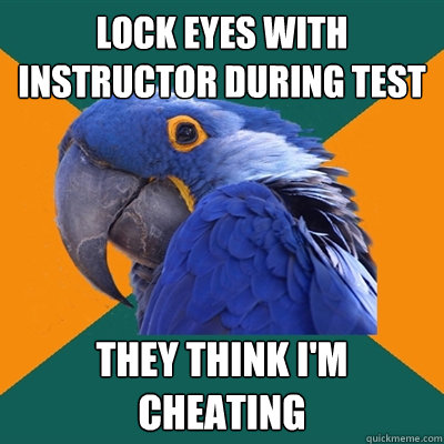 lock eyes with instructor during test they think im cheatin - Paranoid Parrot