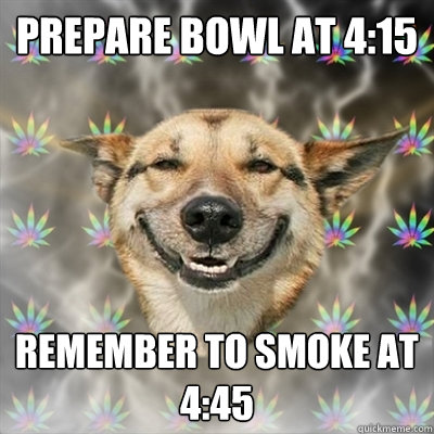 prepare bowl at 415 remember to smoke at 445 - Stoner Dog