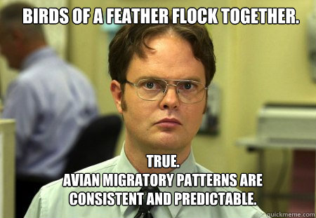 birds of a feather flock together true avian migratory pa - Schrute