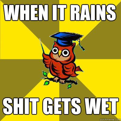 when it rains shit gets wet - Observational Owl