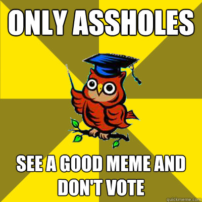 only assholes see a good meme and dont vote - Observational Owl