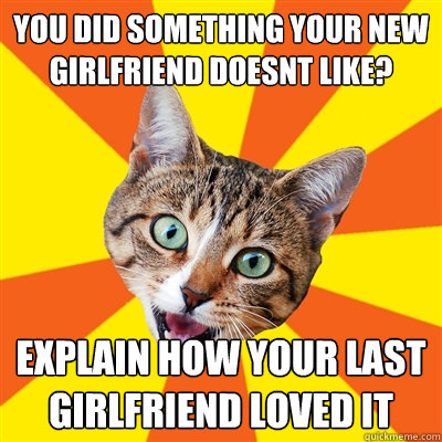 you did something your new girlfriend doesnt like explain h - Bad Advice Cat