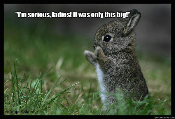 im serious ladies it was only this big -