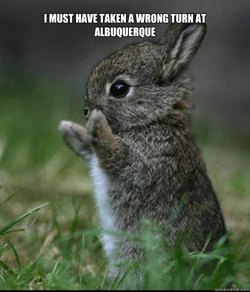 i must have taken a wrong turn at albuquerque  - Bunny
