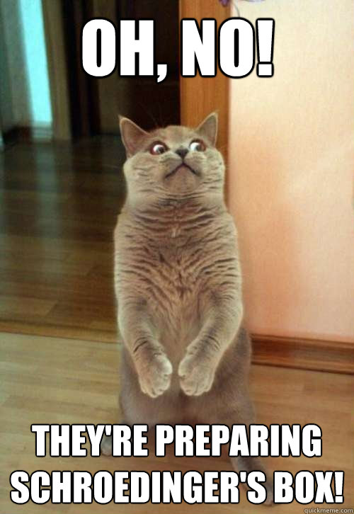 oh no theyre preparing schroedingers box - Horrorcat