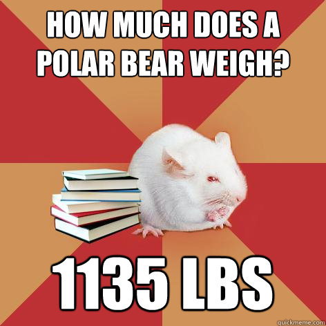 how much does a polar bear weigh 1135 lbs - Science Major Mouse