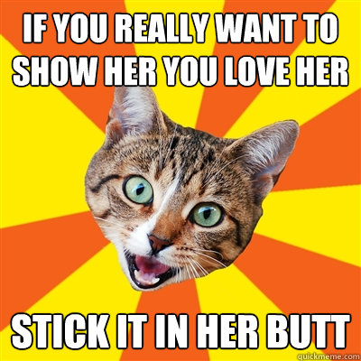 if you really want to show her you love her stick it in her - Bad Advice Cat