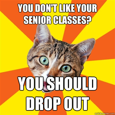 you dont like your senior classes you should drop out - Bad Advice Cat