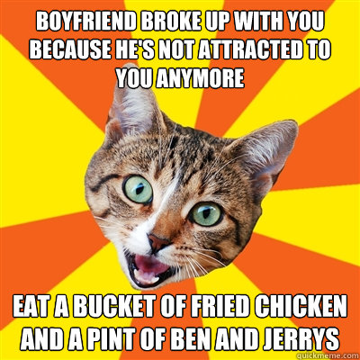 boyfriend broke up with you because hes not attracted to yo - Bad Advice Cat