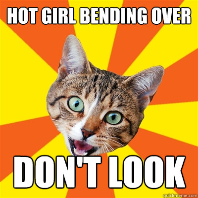 hot girl bending over dont look Bad Advice Cat