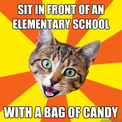 sit in front of an elementary school with a bag of candy - Bad Advice Cat