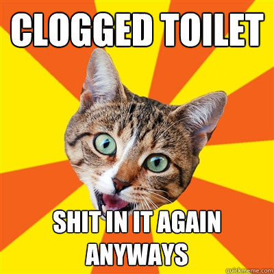 clogged toilet shit in it again anyways - Bad Advice Cat