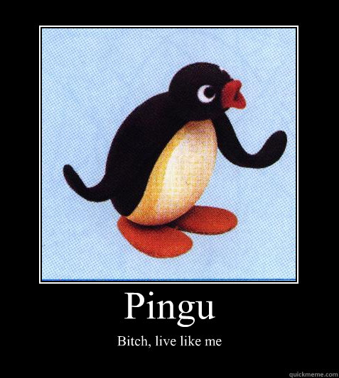 Pingu Funny