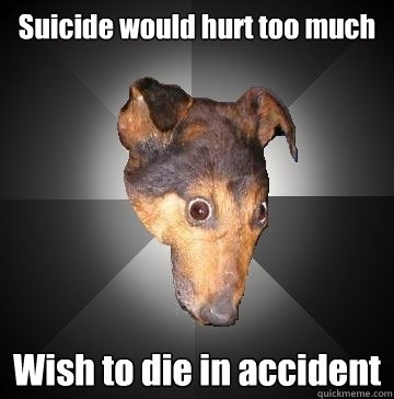 suicide would hurt too much wish to die in accident - Depression Dog