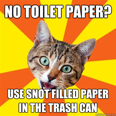 no toilet paper use snot filled paper in the trash can - Bad Advice Cat