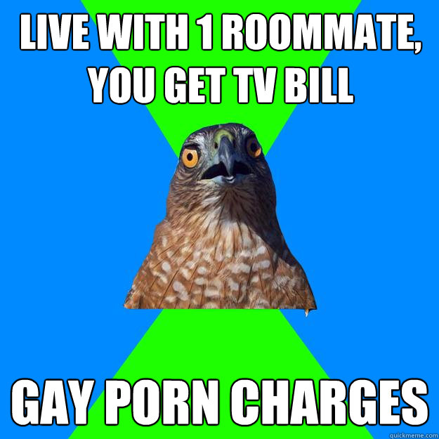 live with 1 roommate you get tv bill gay porn charges - Hawkward