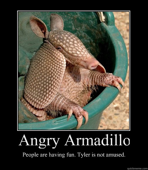 Angry Armadillo