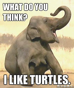 what do you think i like turtles - Irrelephant