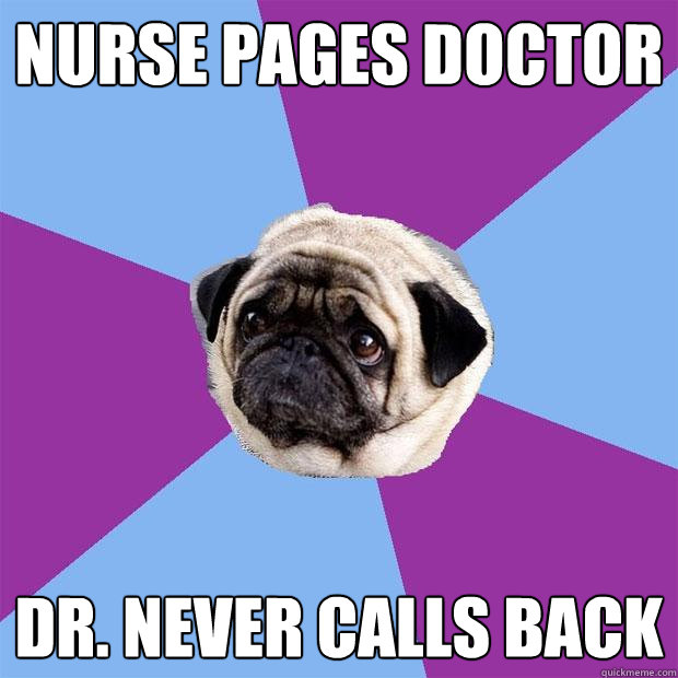 Doctor Pug