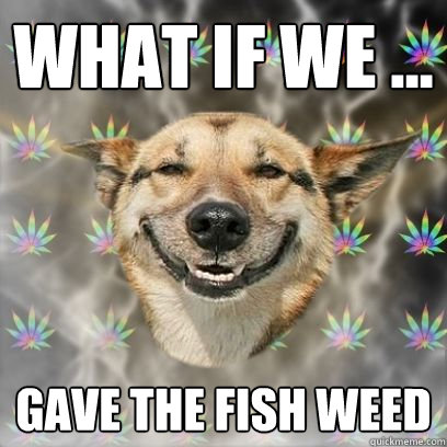 Fish Weed