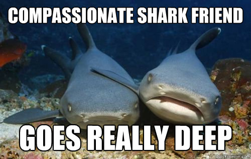compassionate shark friend goes really deep - Compassionate Shark Friend