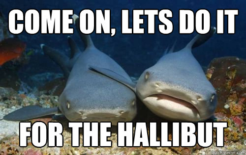 come on lets do it for the hallibut - Compassionate Shark Friend