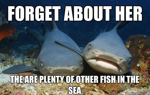 Funny Pics Of Sharks. Compassionate Shark Friend