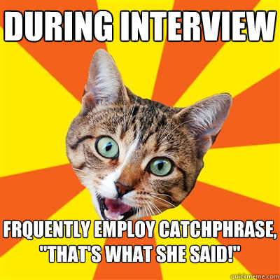 during interview frquently employ catchphrase thats what - Bad Advice Cat