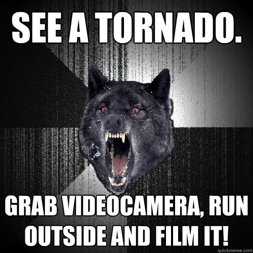 see a tornado grab videocamera run outside and film it - Insanity Wolf