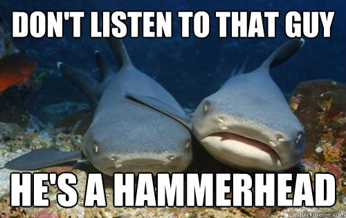 dont listen to that guy hes a hammerhead - Compassionate Shark Friend