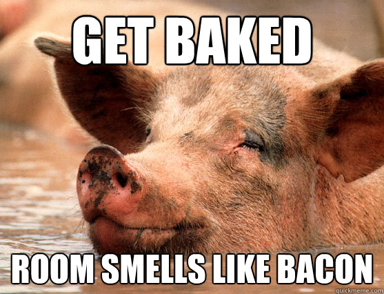 get baked room smells like bacon - Stoner Pig