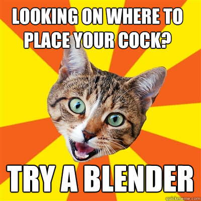 looking on where to place your cock try a blender - Bad Advice Cat