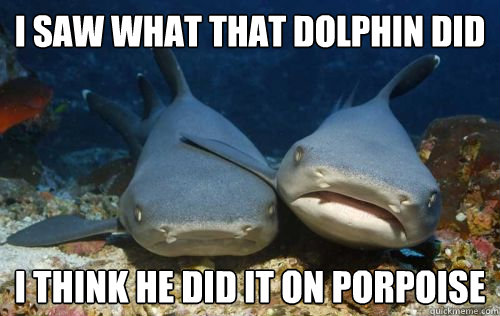 i saw what that dolphin did i think he did it on porpoise - Compassionate Shark Friend