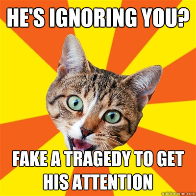 hes ignoring you fake a tragedy to get his attention - Bad Advice Cat