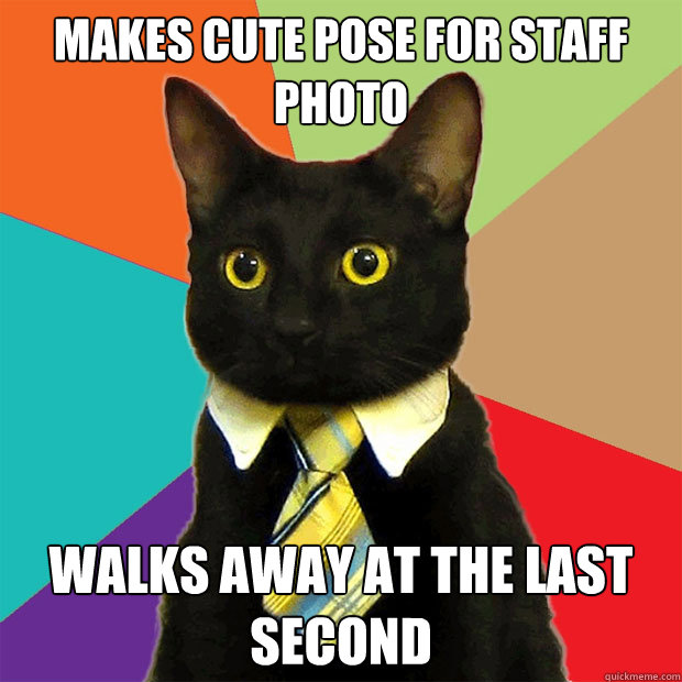 makes cute pose for staff photo walks away at the last secon - Business Cat