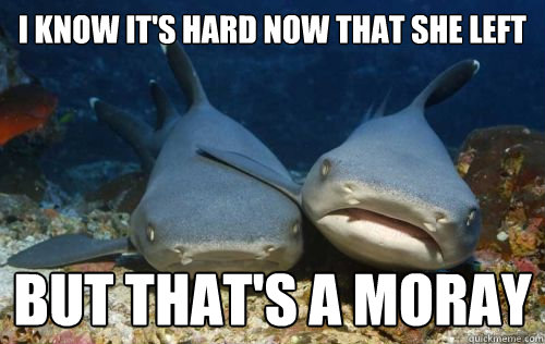 i know its hard now that she left but thats a moray - Compassionate Shark Friend