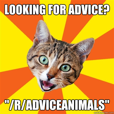 looking for advice radviceanimals - Bad Advice Cat