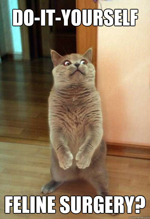 doityourself feline surgery - Horrorcat