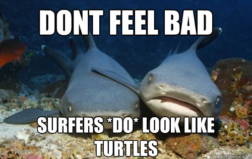 dont feel bad surfers do look like turtles - Compassionate Shark Friend