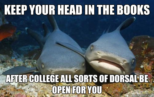 keep your head in the books after college all sorts of dorsa - Compassionate Shark Friend