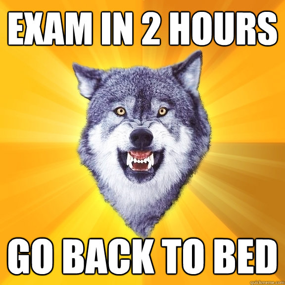 exam in 2 hours go back to bed - Courage Wolf