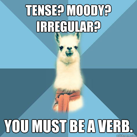 tense moody irregular you must be a verb - Linguist Llama